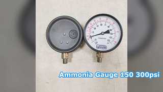 Ammoniak-Manometer 100 mm 150 300 psi NPT