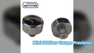 Mini-25-mm-Manometer für PCP-Pneumatik