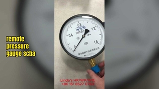 Fernablesung und Ferndruckmessgeräte – Industrielle Überwachungslösungen