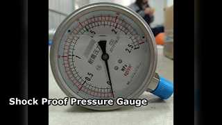 100 mm, 4 Zoll, komplett aus Edelstahl, 0–2,5 MPa