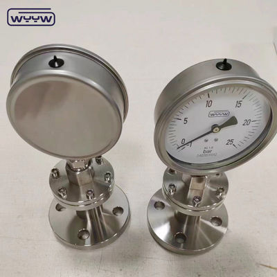 angepasste Diaphragma-Messung-Dosierpumpe OEM für BSP G Thread Standard