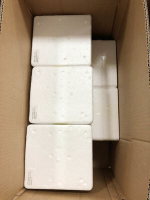 6" 0-1,6MPa Fernmanometer – 1,6% Genauigkeit | Echtzeit-Messwerte